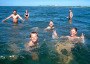Kinder baden in der Nordsee