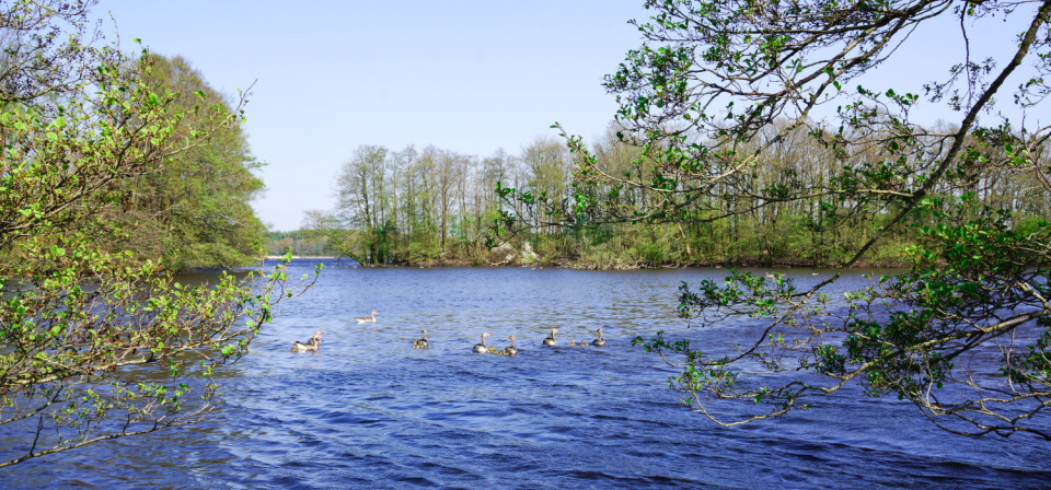 Ein See im schönen Schleswig-Holstein